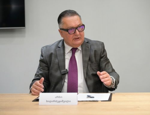 Арно Хидирбегишвили: Информационная политика Грузии